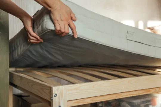bed bug preparation elora