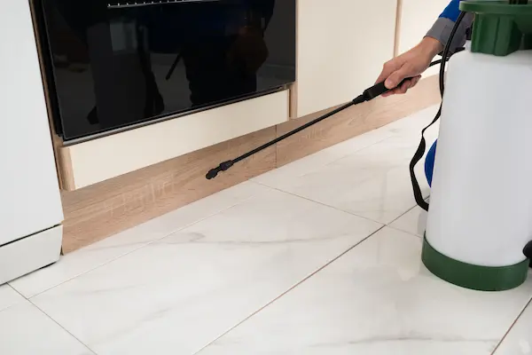 cockroach extermination elora