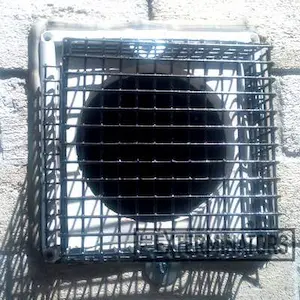 mouse exclusion elora