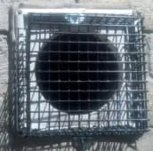 rat exclusion elora