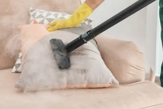 steam bed bug treatment elora